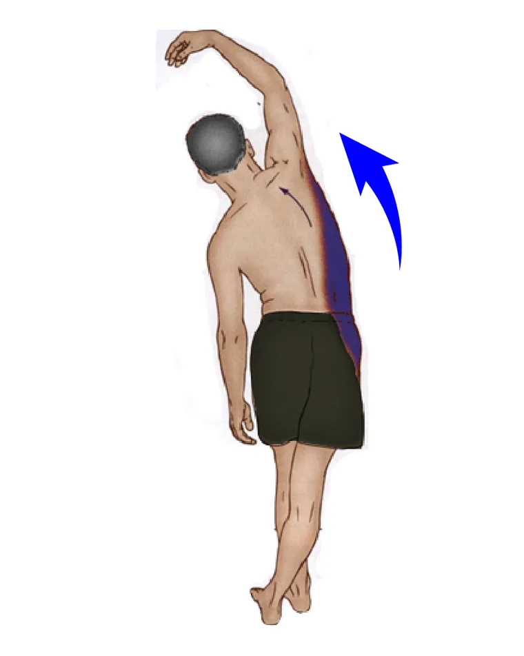 Diagram of a standing side stretch